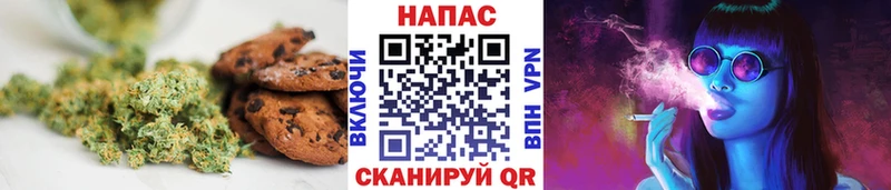 ОМГ ОМГ ссылки  Ардатов  Cannafood конопля  хочу наркоту 