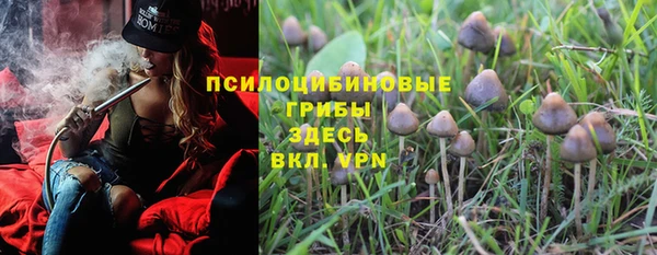 мяу мяу мука Алексин