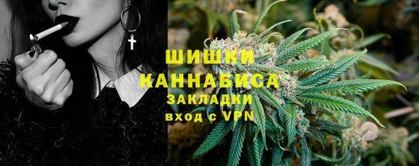 индика Алексеевка