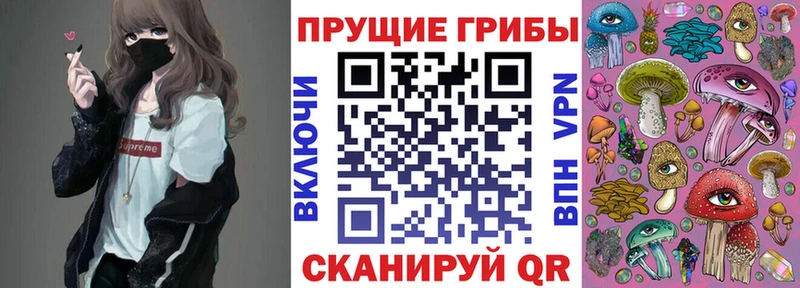 Псилоцибиновые грибы Cubensis  закладка  Ардатов 