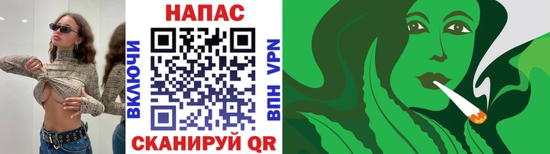 Канабис сатива  Ардатов 